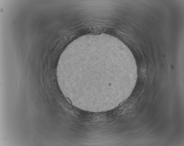 X0000075840865200610151542