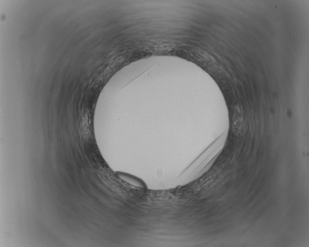 X0000075840866200610151542