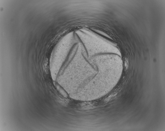 X0000075840867200610151542