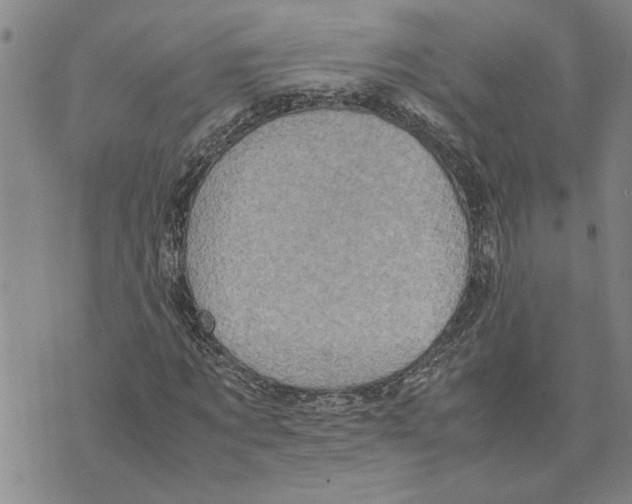 X0000075840869200610151542