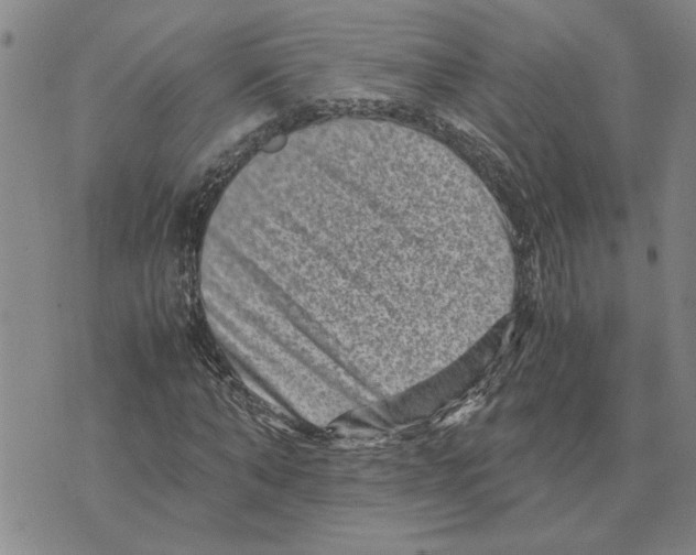 X0000075840870200610151542