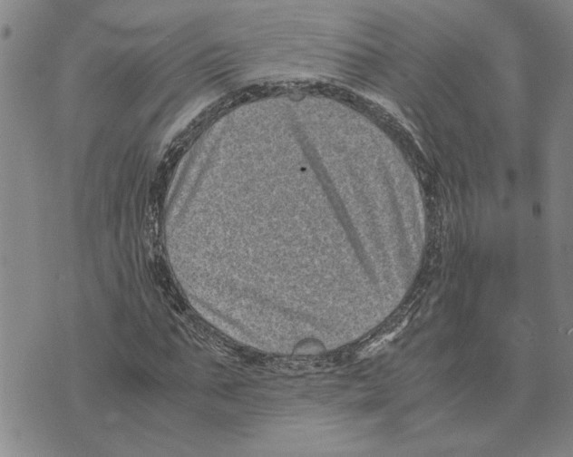 X0000075840871200610151542