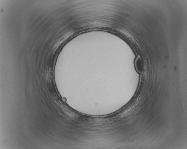 X0000075840873200610151542