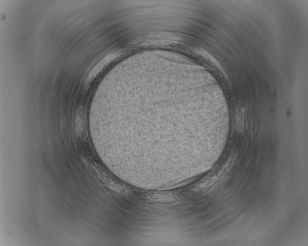 X0000075840874200610151542