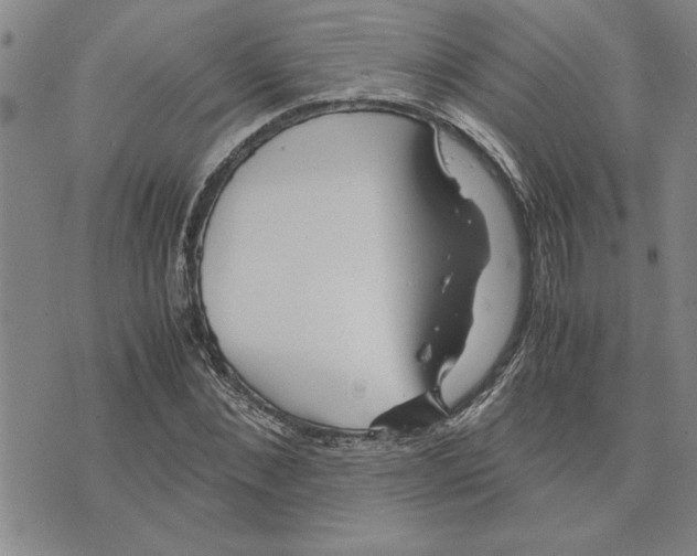 X0000075840876200610151542