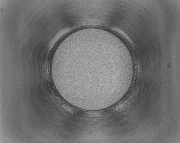 X0000075840878200610151542