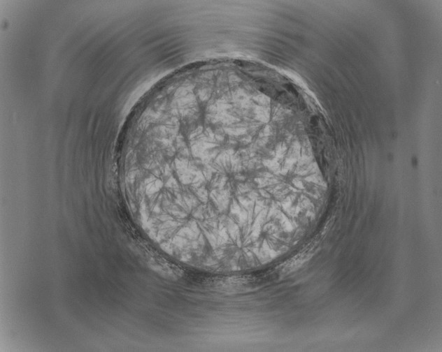 X0000075840879200610151542