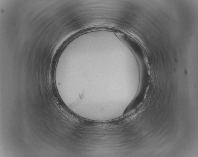 X0000075840880200610151542