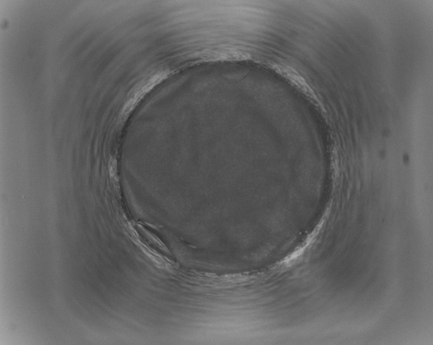 X0000075840881200610151542