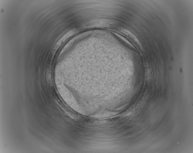 X0000075840882200610151542