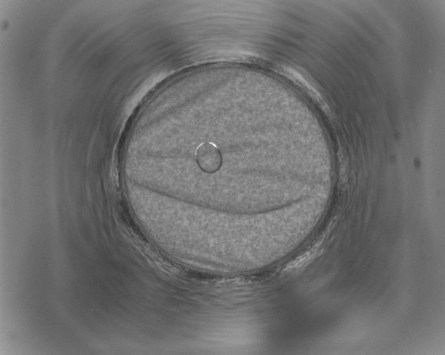 X0000075840883200610151542