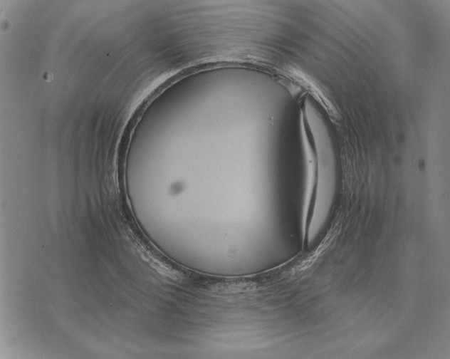 X0000075840884200610151542