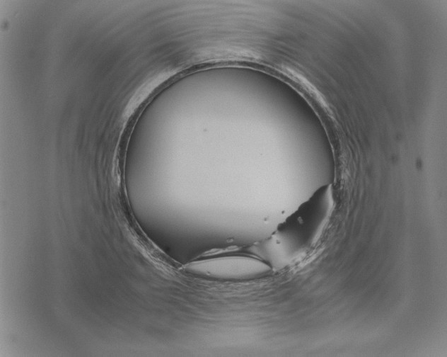 X0000075840885200610151542