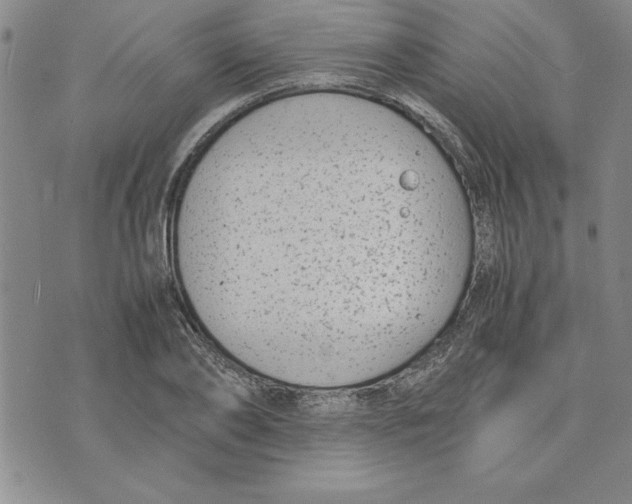 X0000075840886200610151542