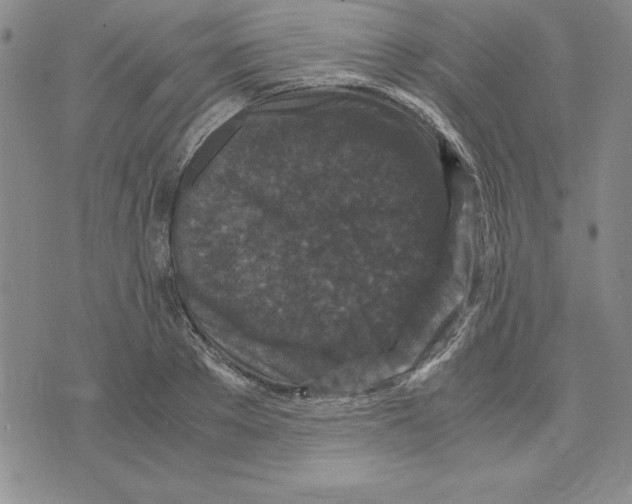 X0000075840889200610151542