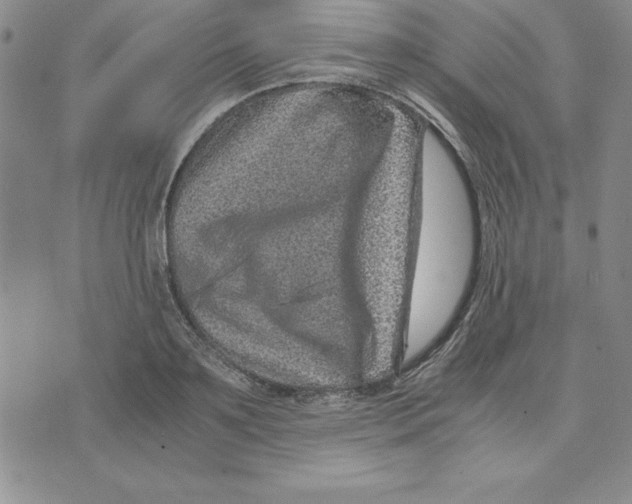 X0000075840891200610151542