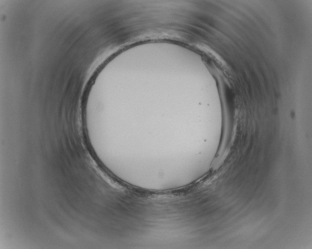 X0000075840894200610151542