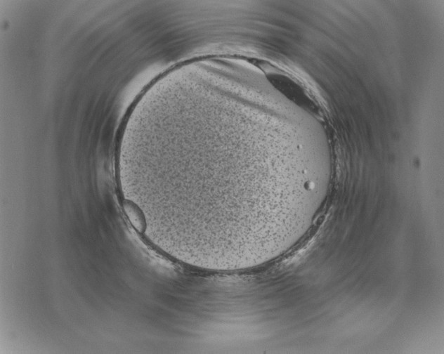 X0000075840896200610151542