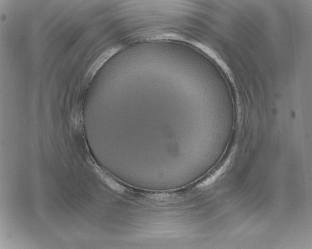 X0000075840897200610151542