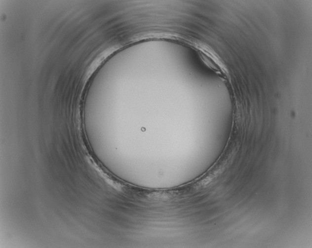 X0000075840898200610151542