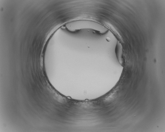 X0000075840900200610151542