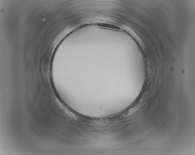 X0000075840901200610151542