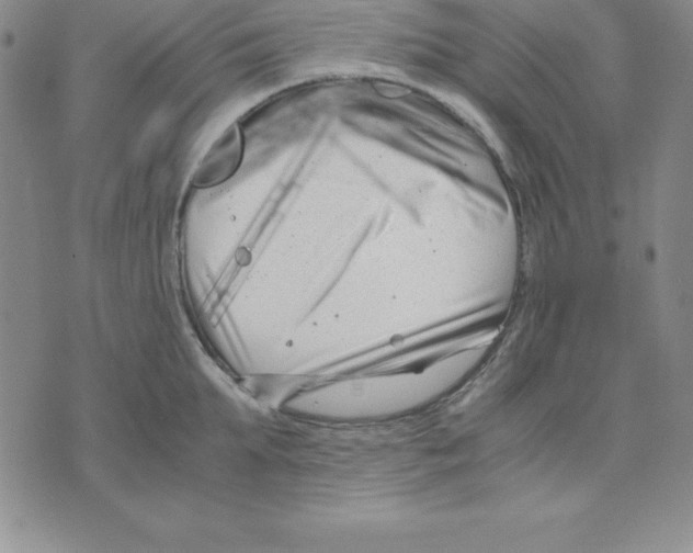 X0000075840903200610151542