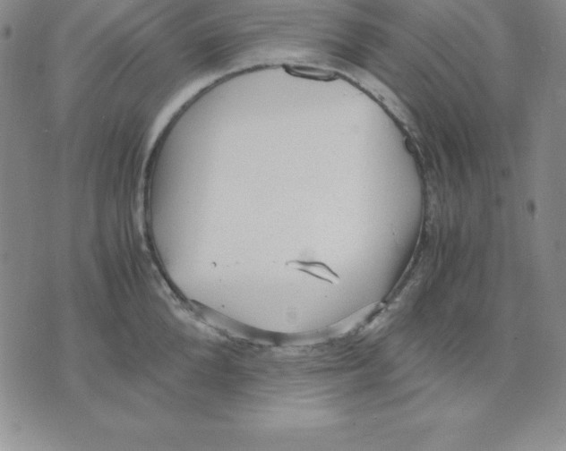 X0000075840904200610151542