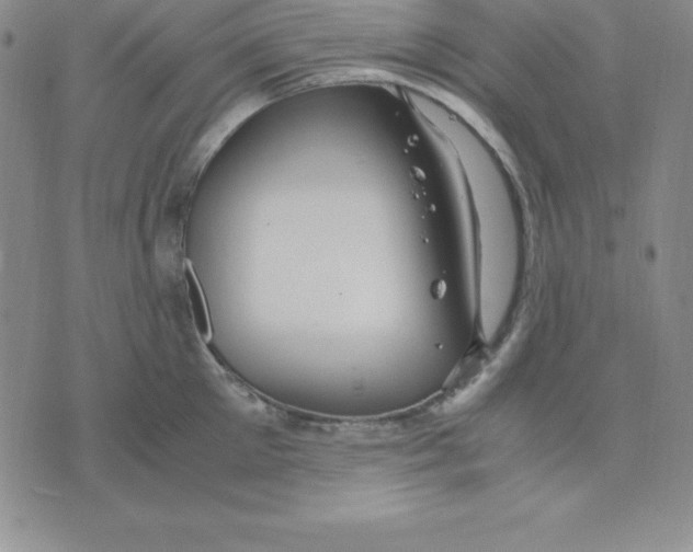 X0000075840905200610151542