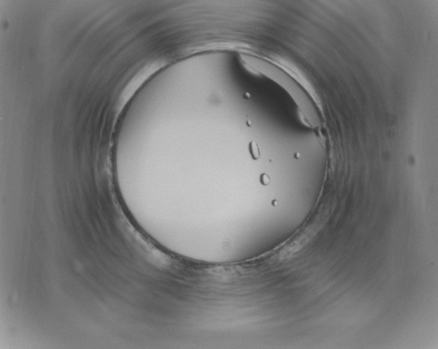 X0000075840906200610151542