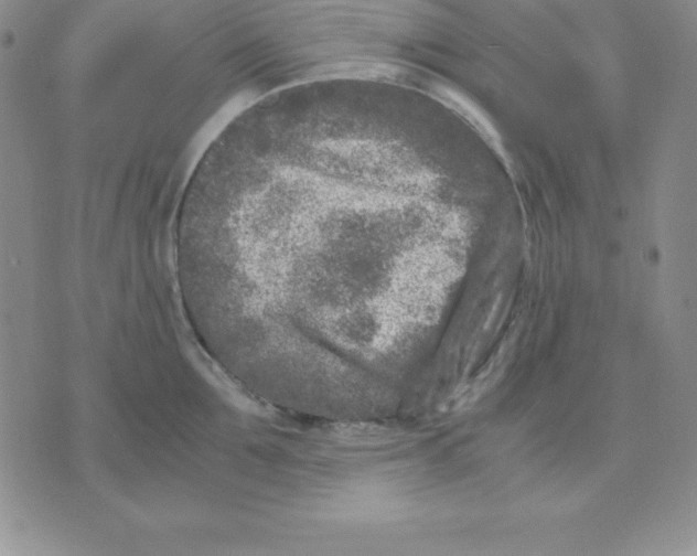 X0000075840907200610151542