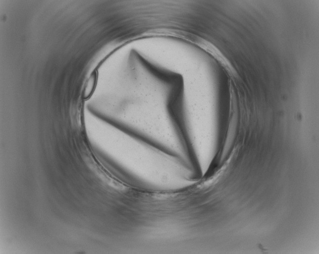 X0000075840908200610151542