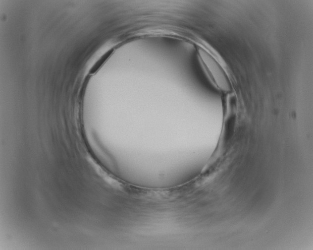 X0000075840909200610151542