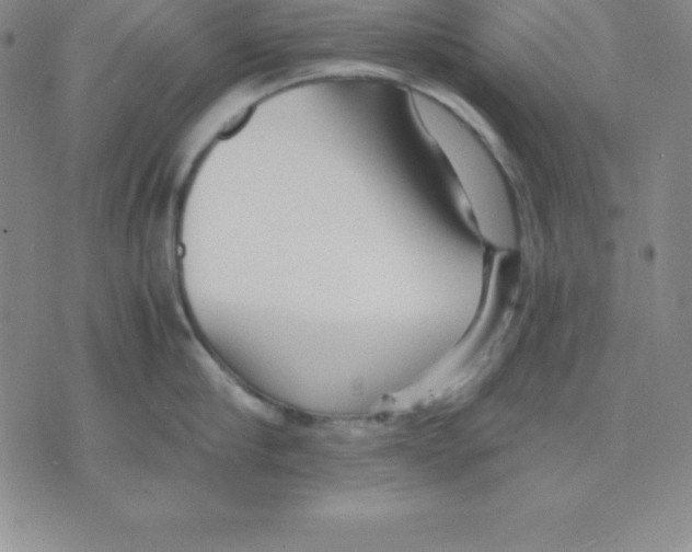 X0000075840910200610151542