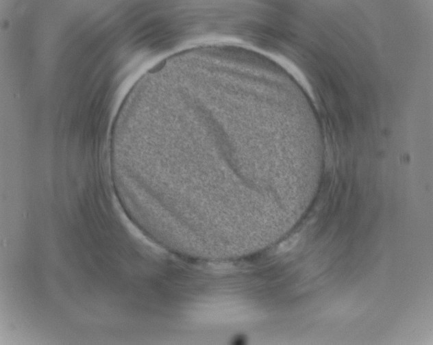 X0000075840911200610151542