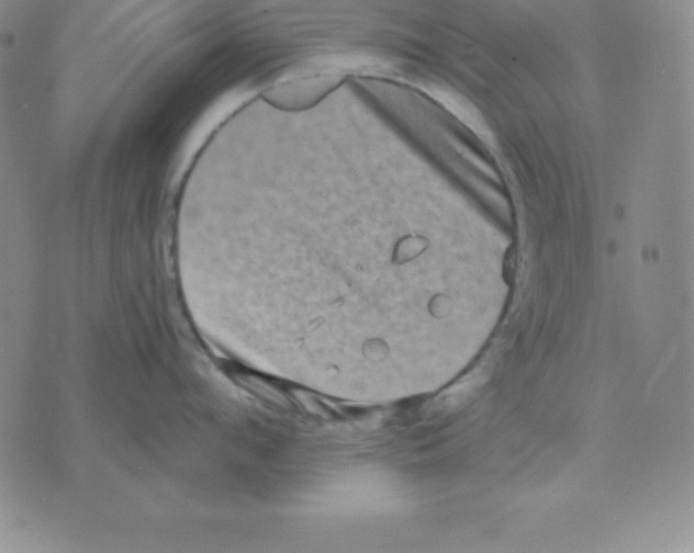 X0000075840912200610151542