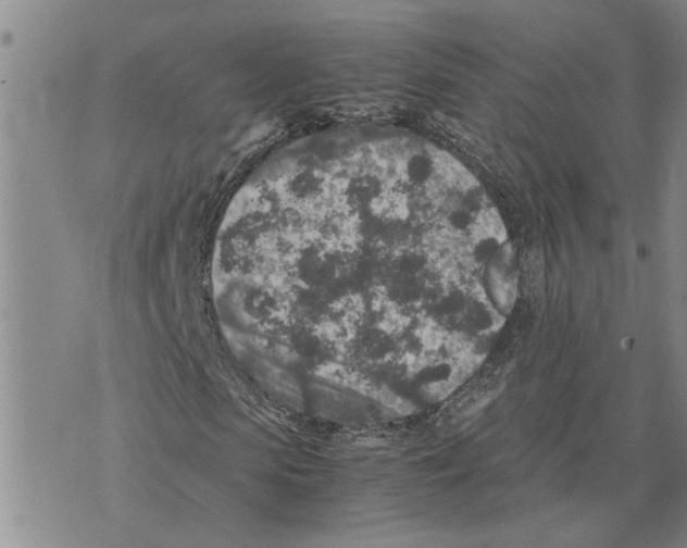 X0000075840913200610151541