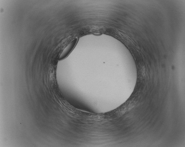 X0000075840914200610151541