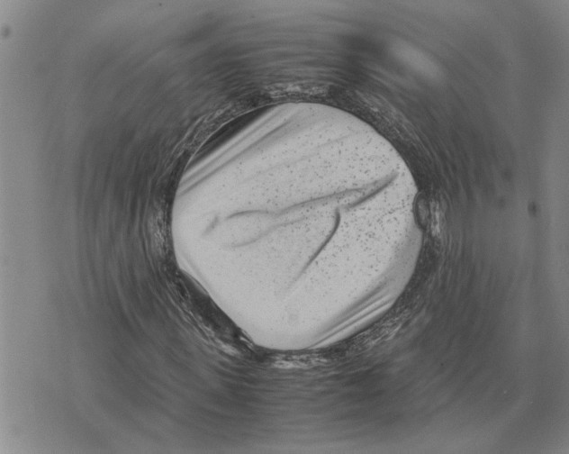 X0000075840915200610151541