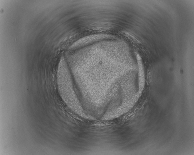 X0000075840917200610151541