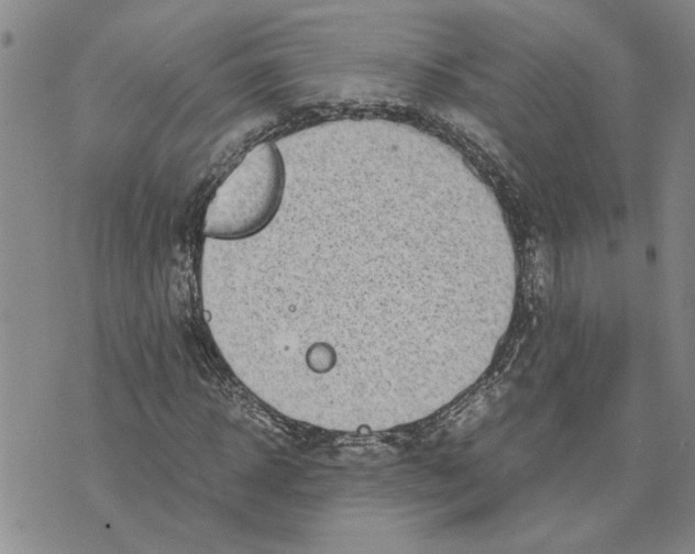 X0000075840918200610151541