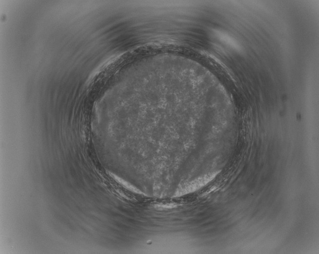 X0000075840919200610151541