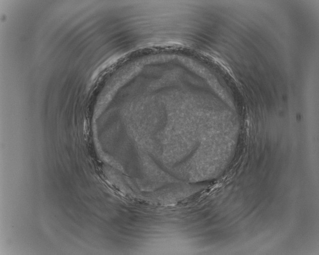 X0000075840920200610151541