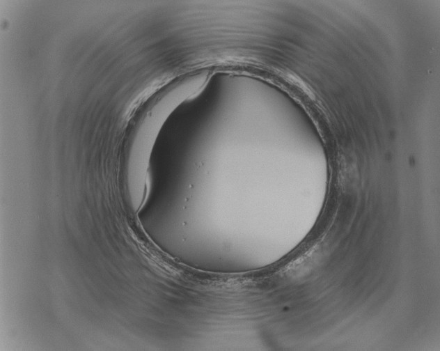 X0000075840922200610151541