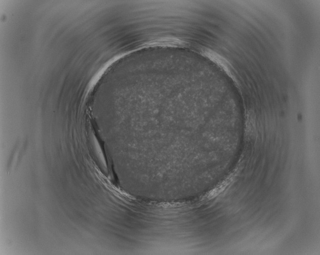 X0000075840923200610151541