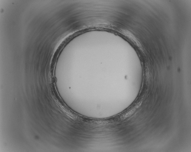 X0000075840924200610151541