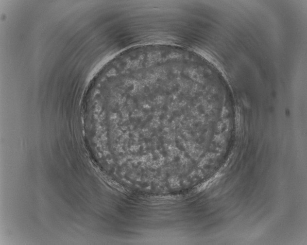 X0000075840925200610151541