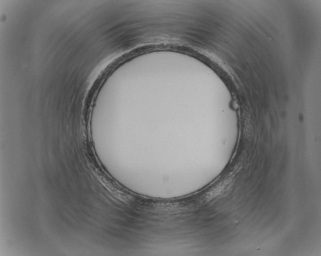 X0000075840927200610151541