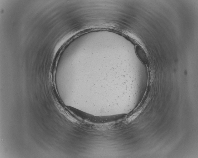 X0000075840928200610151541