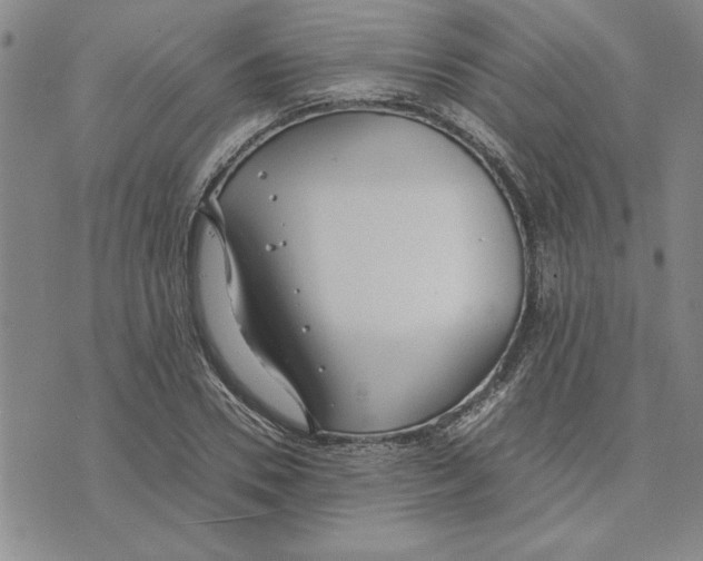 X0000075840930200610151541